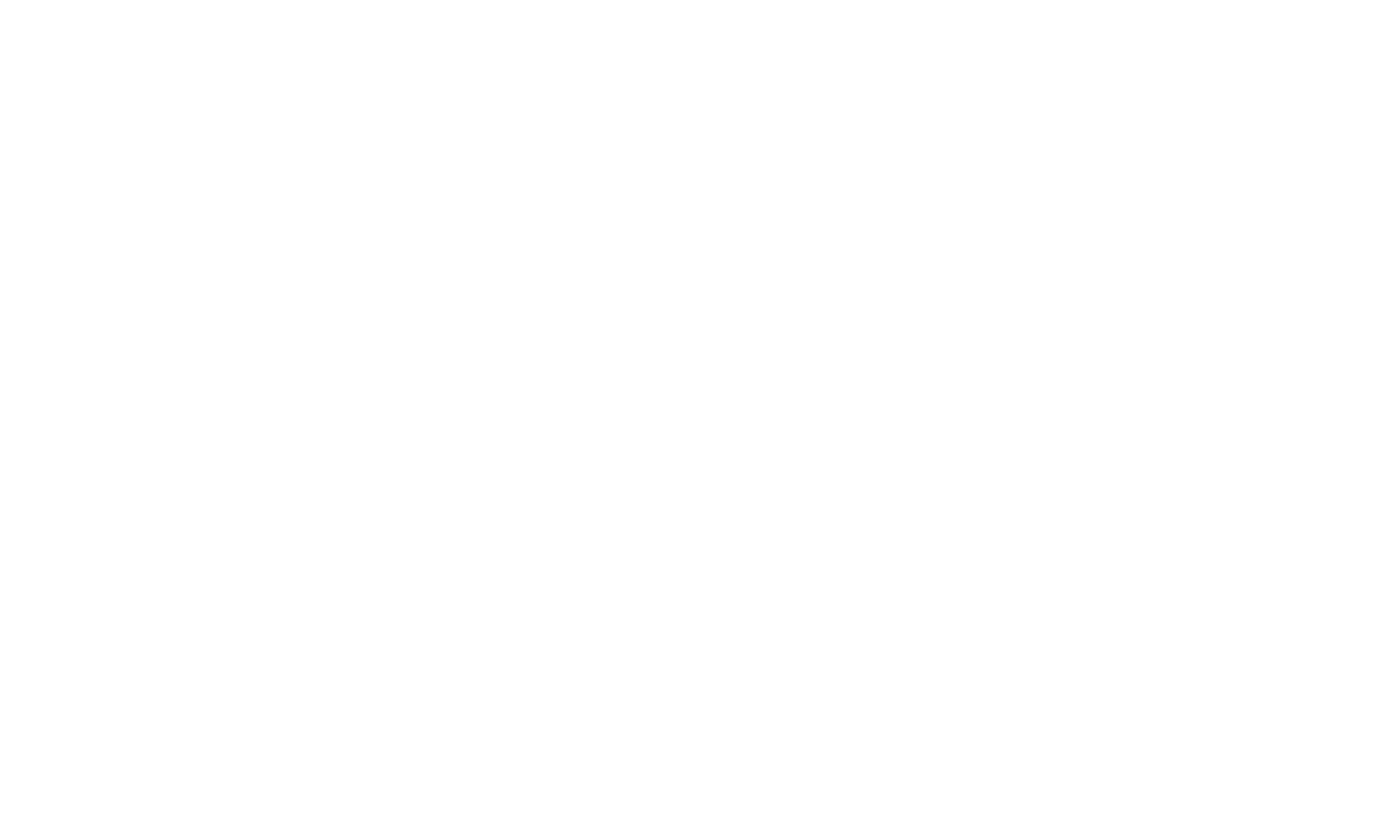 white_logo_transparent_background (1)